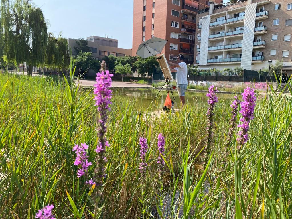 Flors a la zona del llac municipal 