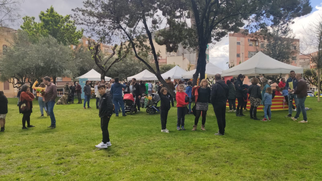 Paradetes de Llibres i Flors al Parc al costat de l'ajuntament