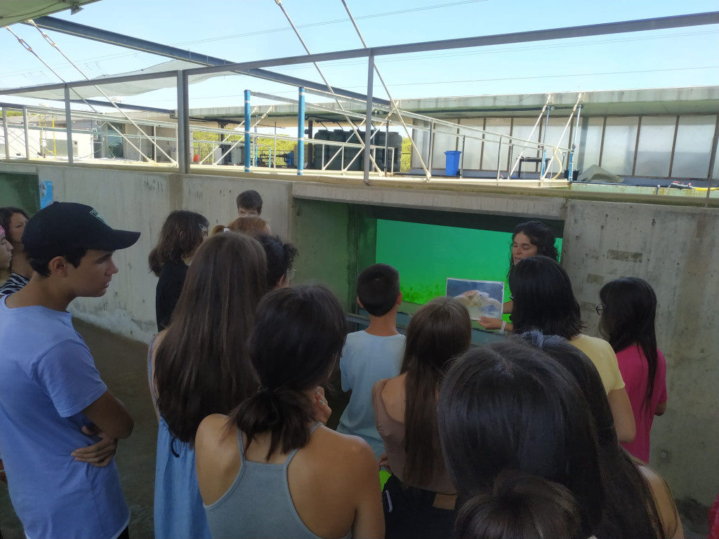 Visita a la Fundació per a la conservació i recuperació d'animals marins