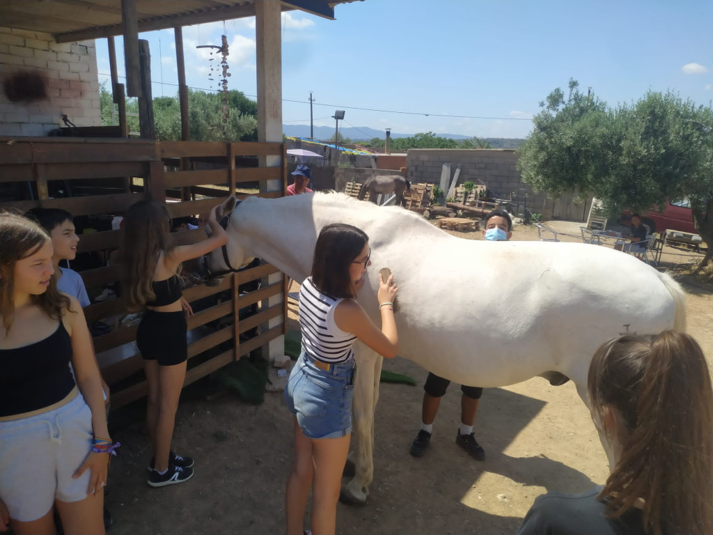 Tallers de conciencia mediambiental amb animals