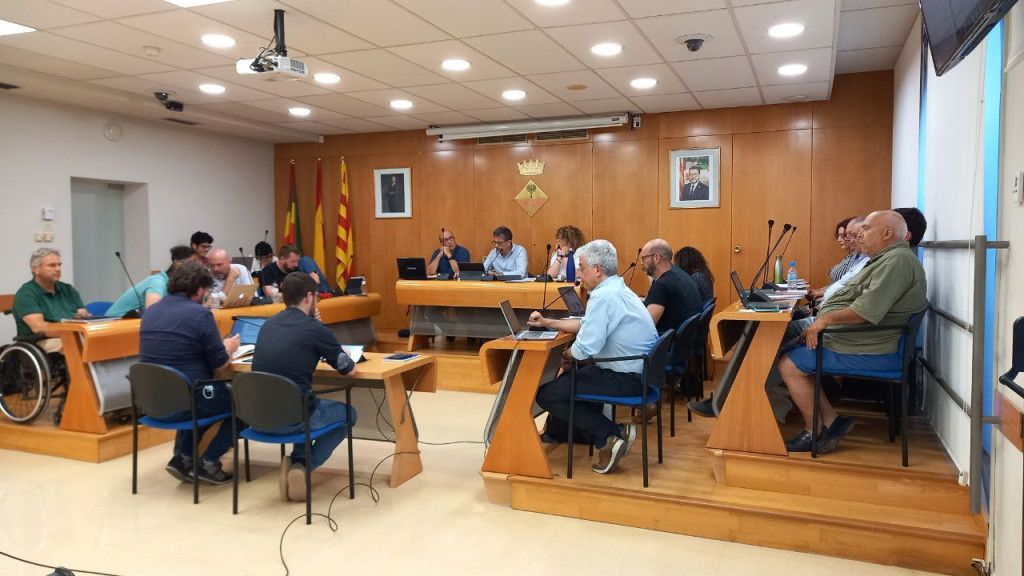 Assistents al Ple de maig