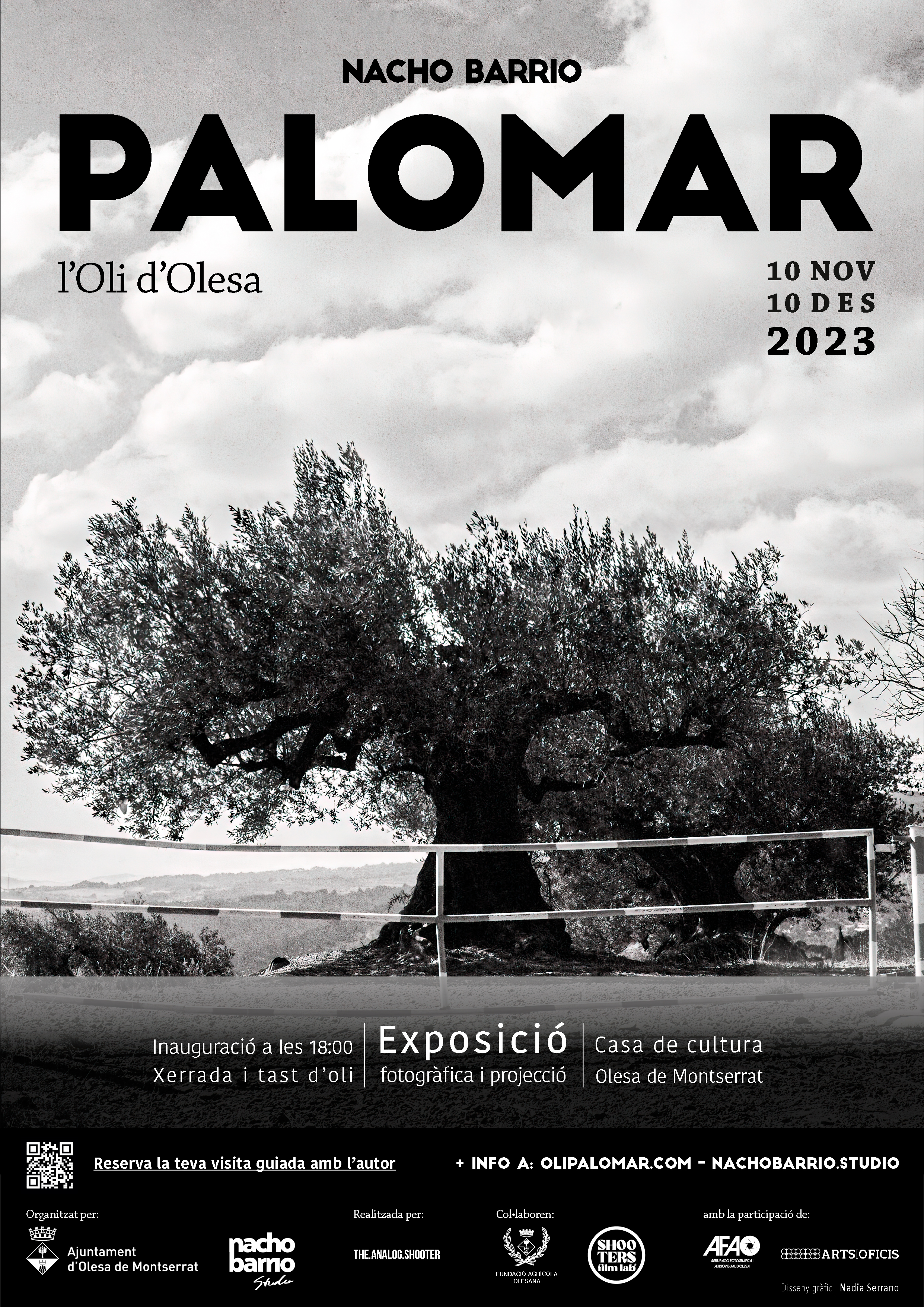 Cartell de l'exposició "Palomar" de Nacho Barrio