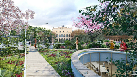 Futura coberta verda de la biblioteca Santa Oliva