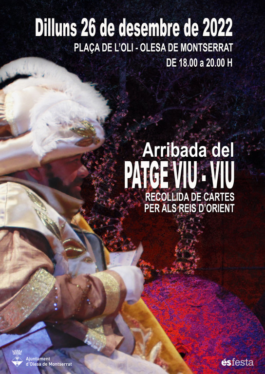 Cartell Arribada del Patge Viu-Viu