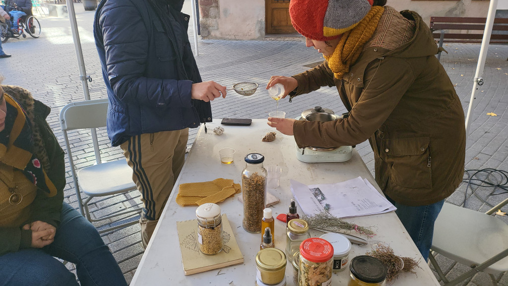 Taller de farmaciola natural amb herbes diferents i olis essencials per preparació de cremes.