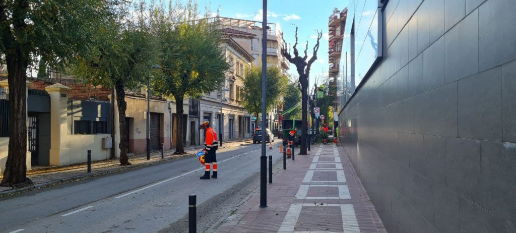 Operaris amb maquinaria al carrer Anselm clave fent la poda dels arbres